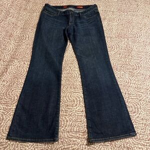 Express Stella Dark Blue Flare Jeans